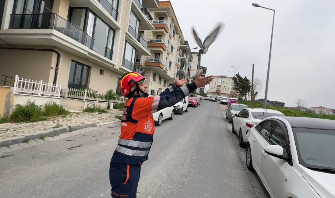 İhsan DÖRTKARDEŞ/İSTANBUL, (DHA)- AVCILAR'da açık bırakılan havalandırma boşluğuna düşen güvercin
