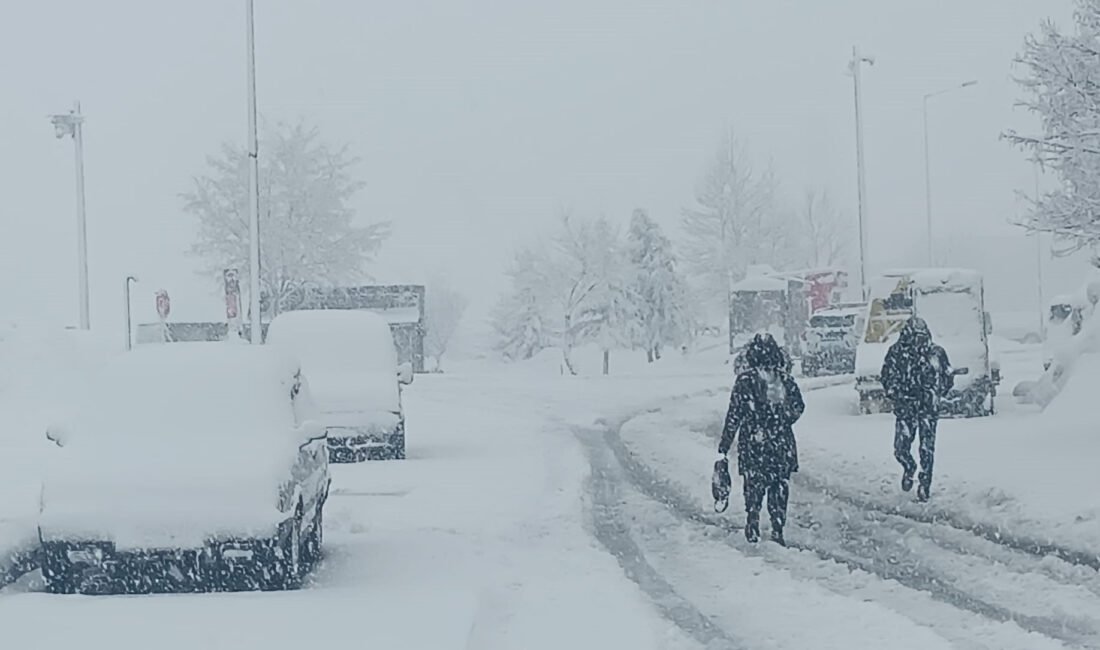 Özcan ÇİRİŞ/BİTLİS, (DHA)- BİTLİS'te etkili olan kar yağışı nedeniyle 84