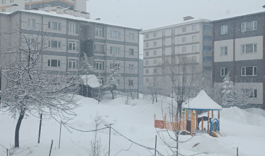 Bitlis’te kar yağışı Özcan ÇİRİŞ/BİTLİS, (DHA)- BİTLİS’te dün akşam başlayan yağmur, gece saatlerinde
