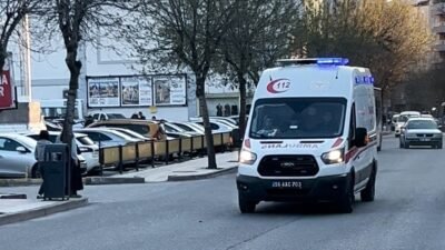 Akif ÖZALP/ ŞİRVAN(Siirt), (DHA)- SİİRT'in Şirvan ilçesinde bahçesinde ağaç budadığı