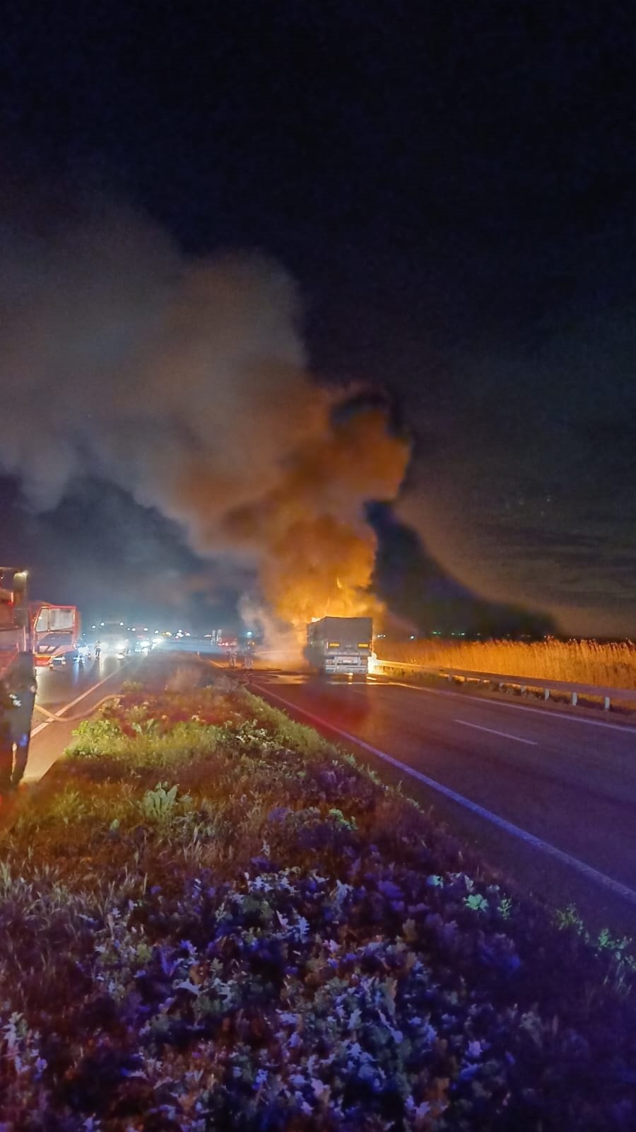 Yasin KESKİN/ KARACABEY(Bursa), (DHA)- BURSA’nın Karacabey ilçesinde seyir halindeki buğday