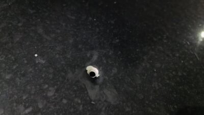 Yavuz YILMAZ/ İNEGÖL(Bursa), (DHA)- BURSA'nın İnegöl ilçesinde seyir halindeki otomobile