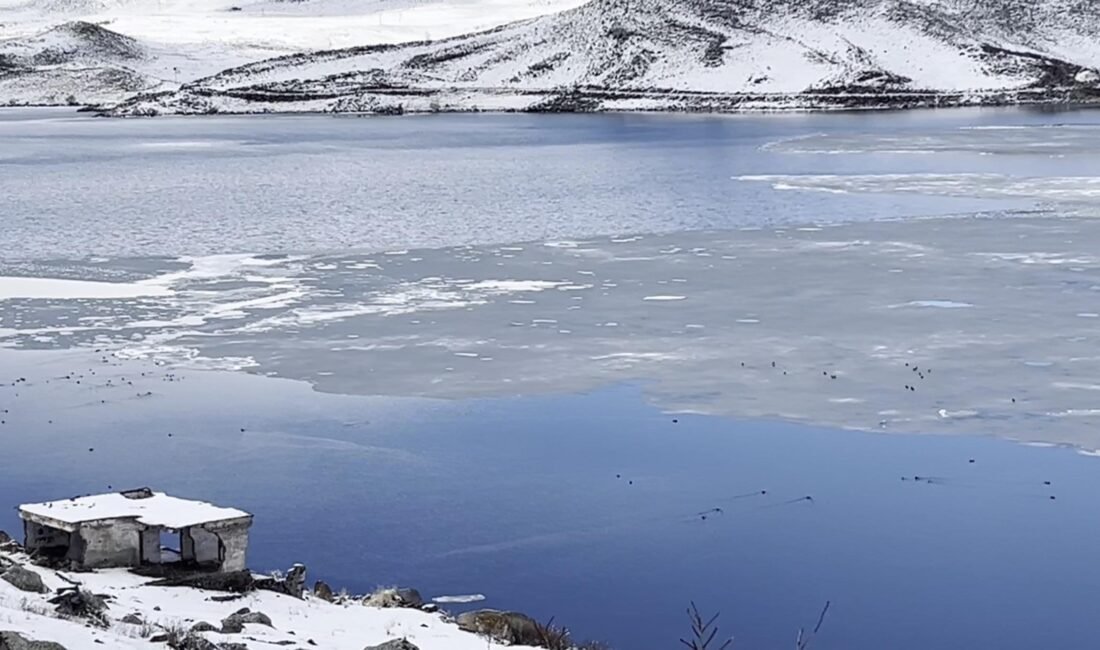 Çıldır Gölü’nde çözülme başladı Suat İNCEDERE/ARPAÇAY (Kars), (DHA)- DOĞU Anadolu Bölgesi'nin en büyük ikinci