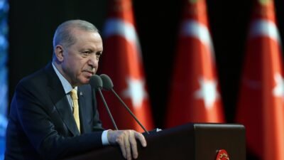 Aybala MELEK/ANKARA, (DHA)- CUMHURBAŞKANI Recep Tayyip Erdoğan, Türkiye'nin kişi başına