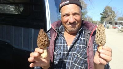 Fatih DALDAL/BAYRAMİÇ (Çanakkale), (DHA)- ÇANAKKALE'nin Bayramiç ilçesi sınırları içerisinde kalan