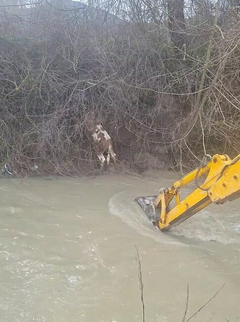 Hızır İlyas YILDIRIM/MUDURNU (Bolu), (DHA)- BOLU’nun Mudurnu ilçesinde dereye düşen
