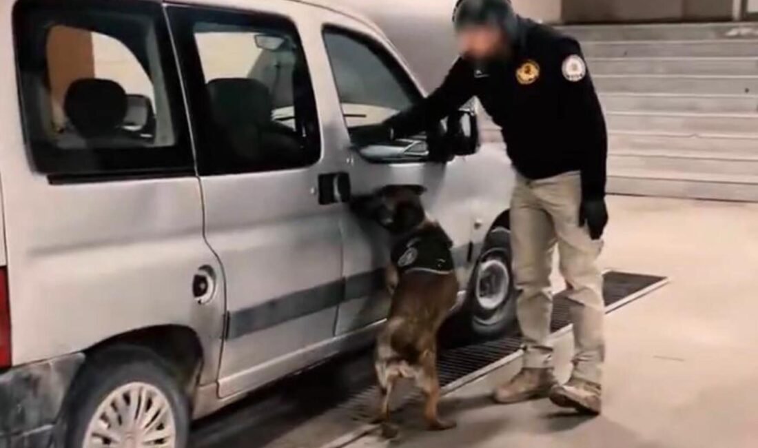 Muhammed Sami MARAL/MUŞ, (DHA)- MUŞ’ta bir aracın direksiyon aksamına zulalanmış