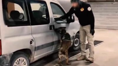 Muhammed Sami MARAL/MUŞ, (DHA)- MUŞ’ta bir aracın direksiyon aksamına zulalanmış