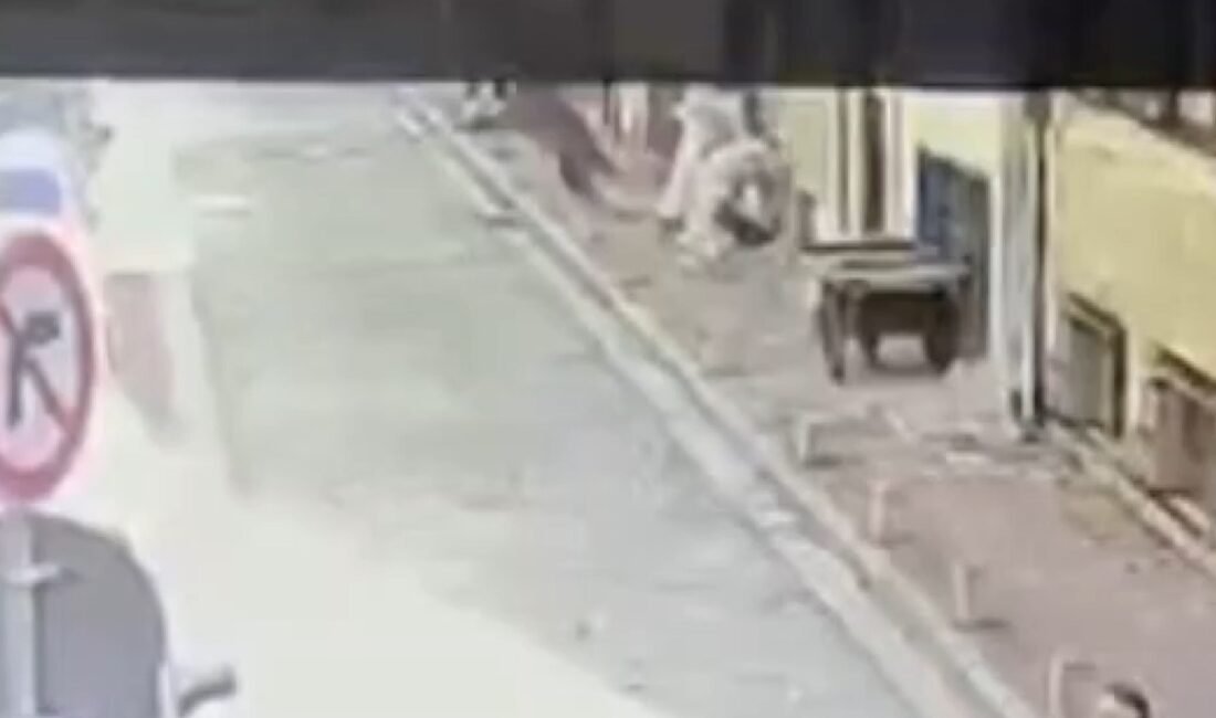 Fatih’te yangın çıkan binanın 3. katından atlayan kişi ağır yaralandı Emre KURT - Utku Can SÖNMEZ/İSTANBUL,(DHA)-FATİH'te yangın çıkan 3 katlı