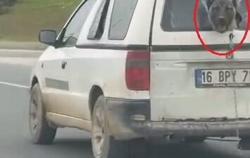 Yavuz YILMAZ/ İNEGÖL(Bursa), (DHA)- BURSA’nın İnegöl ilçesinde seyir halinde olan
