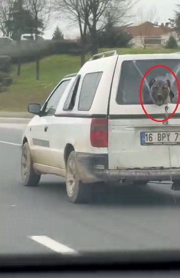 Yavuz YILMAZ/ İNEGÖL(Bursa), (DHA)- BURSA’nın İnegöl ilçesinde seyir halinde olan