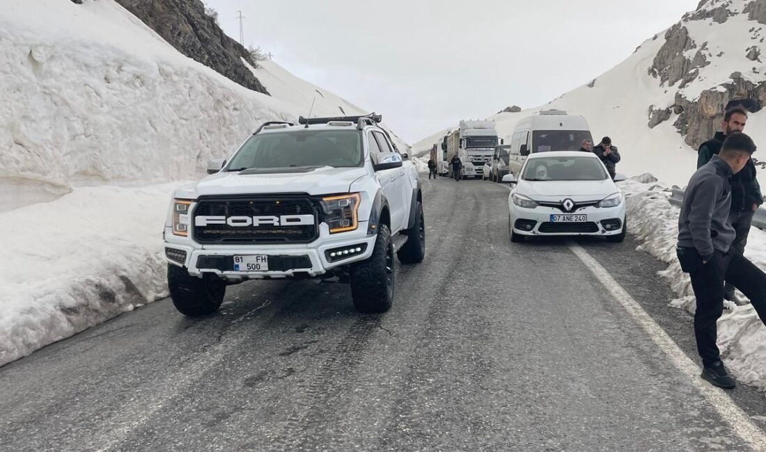 Serdar KARA/ÇUKURCA (Hakkari), (DHA)- HAKKARİ-Şırnak kara yolu düşen çığ nedeniyle