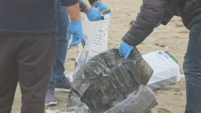 Alican GÜMÜŞ/ HATAY, (DHA)- HATAY'ın Samandağ ilçesinde dalgaların sahile sürüklediği