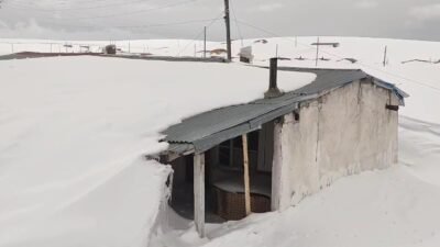 Deniz BAŞLI/ARDAHAN, (DHA)- ARDAHAN'da 2 bin 580 rakımlı Bülbülan Yaylası'nda