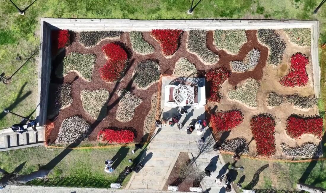 İstanbul’da lale zamanı; tarihi park ve korulara 3 milyon 580 bin lale dikildi Canan İLARSLAN - Ulaşcan ÖZER- Doğan Can CESUR / İSTANBUL,