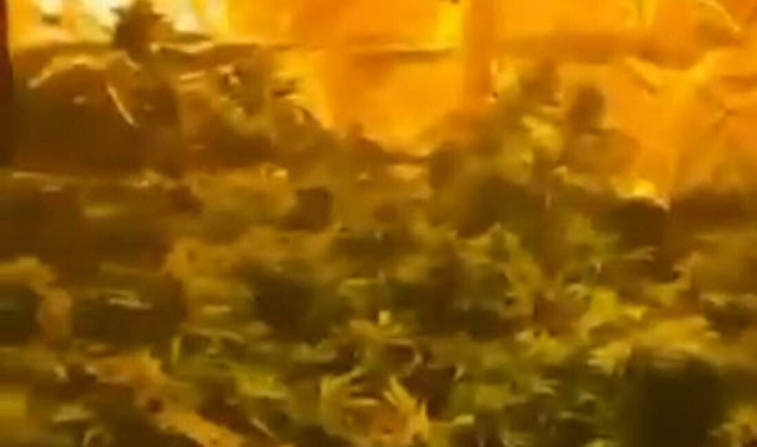 İzmir’de uyuşturucu operasyonu: 2 gözaltı Tekin GÜRBULAK/İZMİR, (DHA)- İZMİR’in Buca ilçesinde polisin bir eve düzenlediği