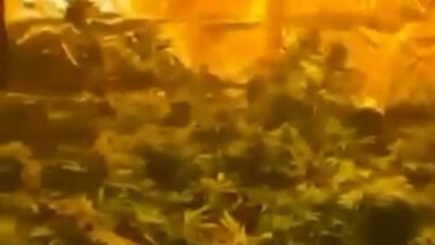 Tekin GÜRBULAK/İZMİR, (DHA)- İZMİR’in Buca ilçesinde polisin bir eve düzenlediği
