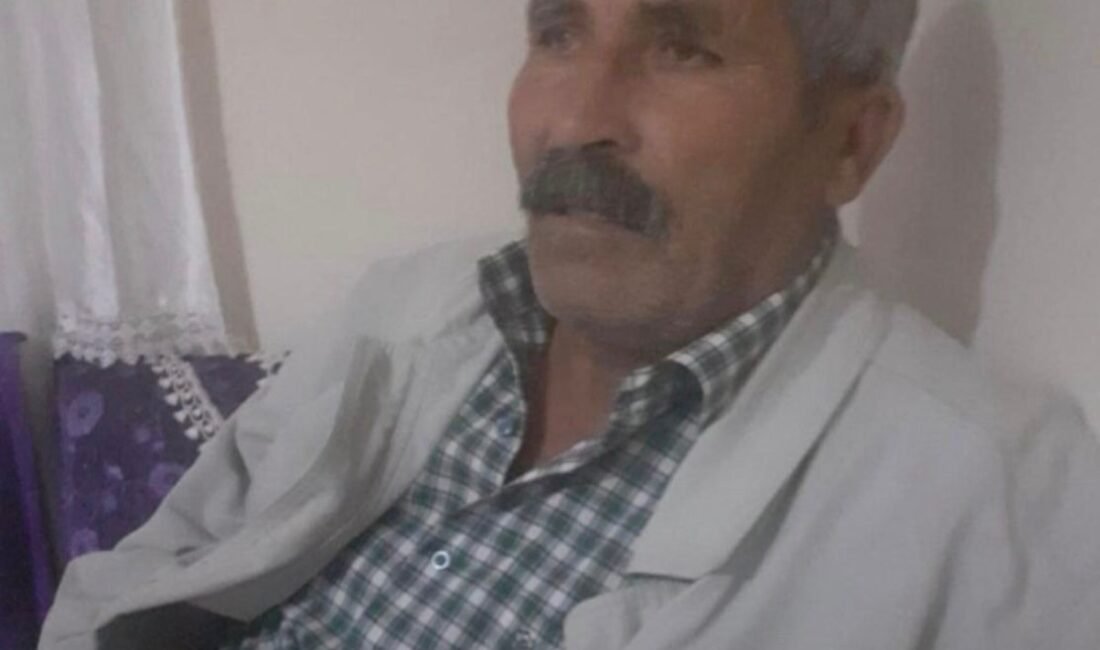 Seyfettin EKEN-Hüseyin İÇLİ/DİYARBAKIR, (DHA)- DİYARBAKIR’ın Sur ilçesinde kaçan ineğini yakalamak