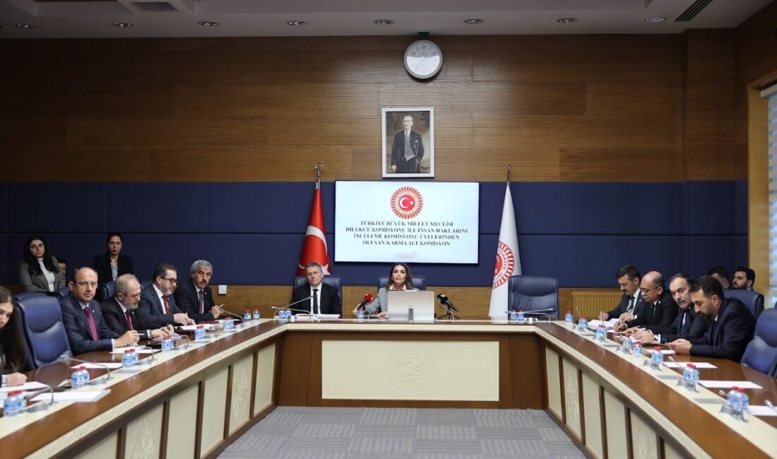 Aliekber METE/ANKARA, (DHA)- TBMM Dilekçe Komisyonu ile İnsan Haklarını İnceleme