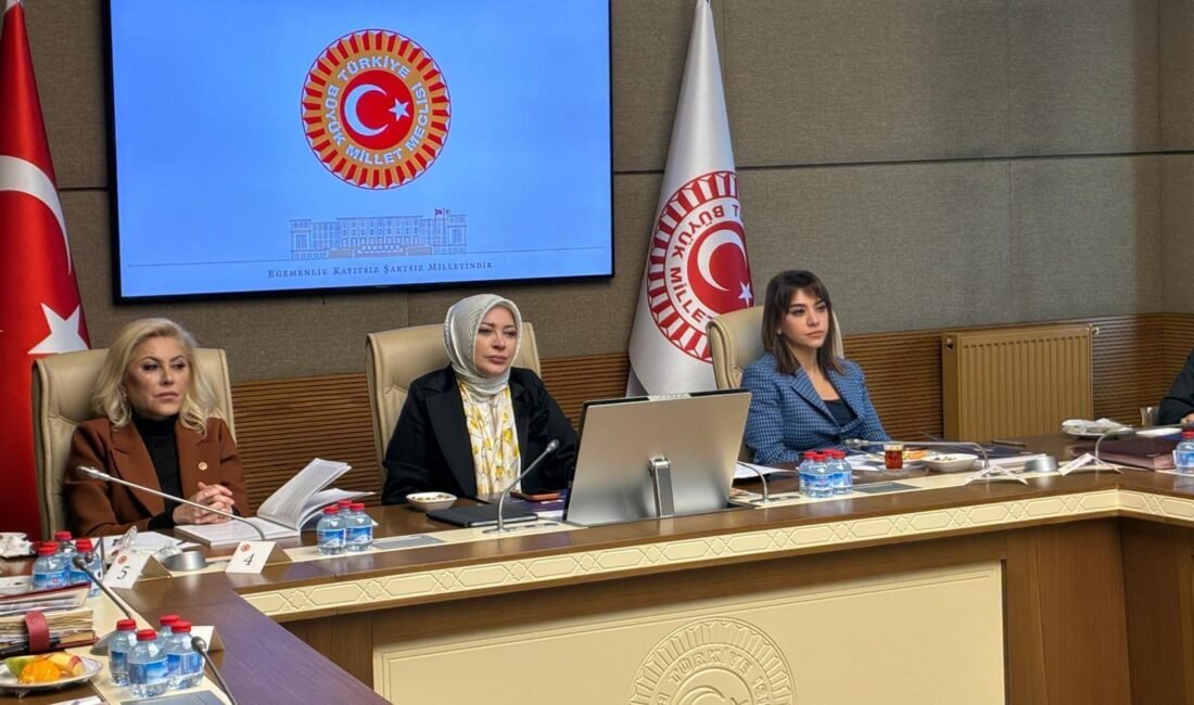 Aliekber METE/ ANKARA, (DHA)- TBMM Kadın-Erkek Fırsat Eşitliği Komisyonu'nda sunum