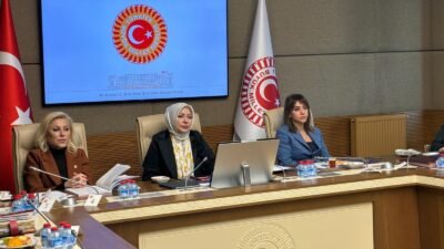 Aliekber METE/ ANKARA, (DHA)- TBMM Kadın-Erkek Fırsat Eşitliği Komisyonu'nda sunum