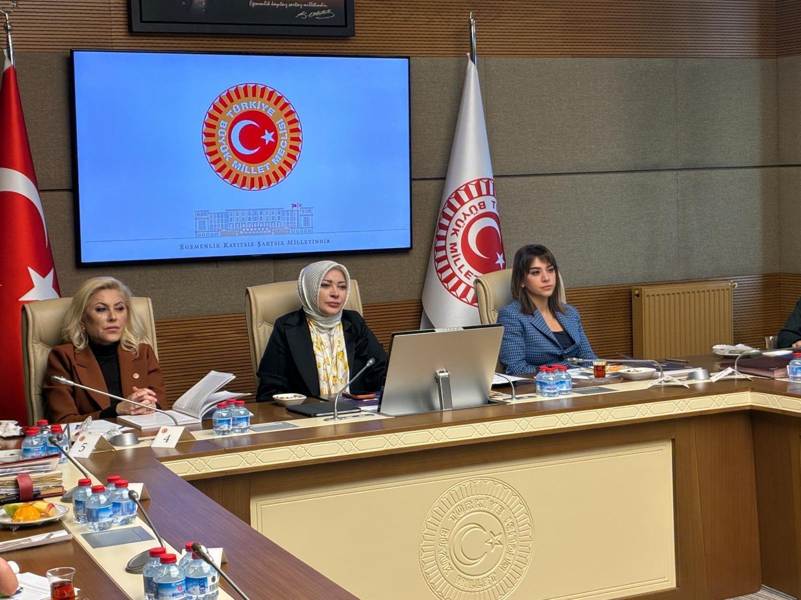 Aliekber METE/ ANKARA, (DHA)- TBMM Kadın-Erkek Fırsat Eşitliği Komisyonu'nda sunum