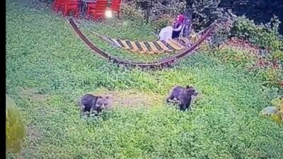 Murat ÖZELCİ/KARABÜK, (DHA)- KARABÜK’te, köyde bir evin bahçesine girip yiyecek