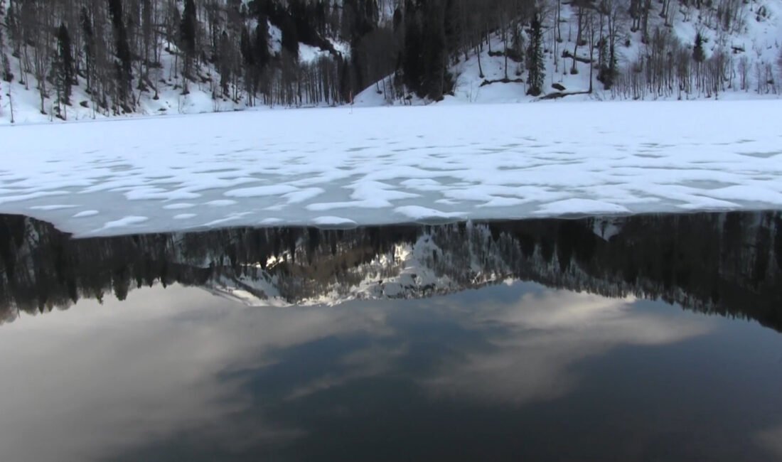 Ziya AKYILDIZ/BORÇKA (Artvin), (DHA)- ARTVİN’in Borçka ilçesinde etkili olan kar