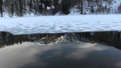 Ziya AKYILDIZ/BORÇKA (Artvin), (DHA)- ARTVİN’in Borçka ilçesinde etkili olan kar