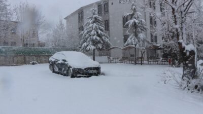 Bülent TEMİZ/KARLIOVA (Bingöl), (DHA)- BİNGÖL’ün Karlıova ilçesinde etkili olan kar