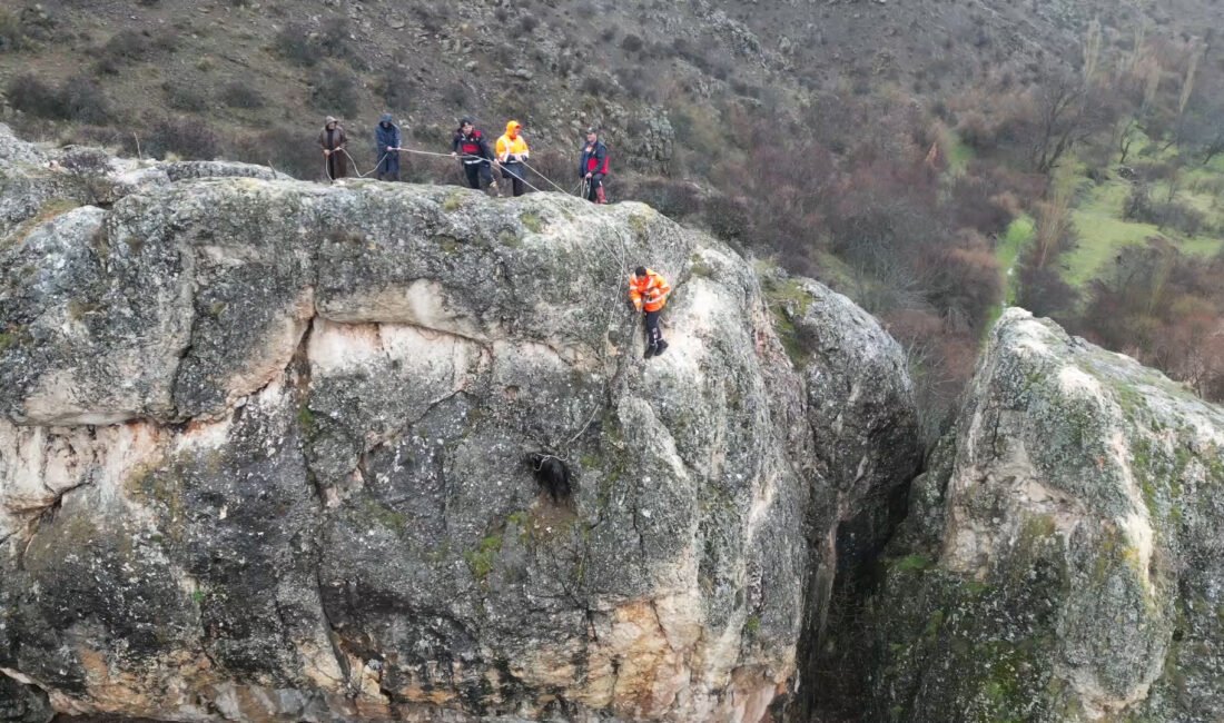 Yıldırım ŞİMŞEK/ŞARKIŞLA (Sivas), (DHA)- SİVAS'ın Şarkışla ilçesinde kayalıklarda mahsur kalan