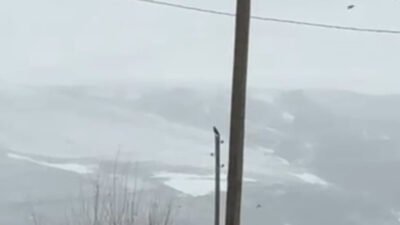 Behçet DALMAZ/VAN, (DHA)-VAN’ın İpekyolu ilçesinde gündüz saatlerinde kent merkezine inen
