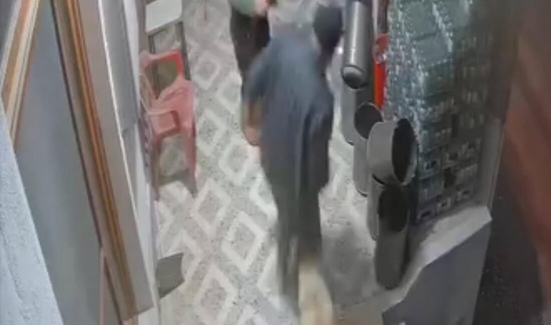 Nurettin DOĞAN/ALAŞEHİR (Manisa), (DHA)- MANİSA’nın Sarıgöl ilçesinde sahipsiz köpeklerin saldırdığı