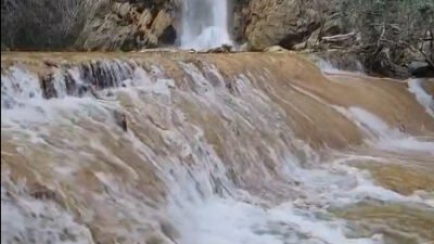 Uğur SELÇUK/İMAMOĞLU (Adana), (DHA)- ADANA'nın Aladağ ilçesinde kuraklık nedeniyle kuruyan