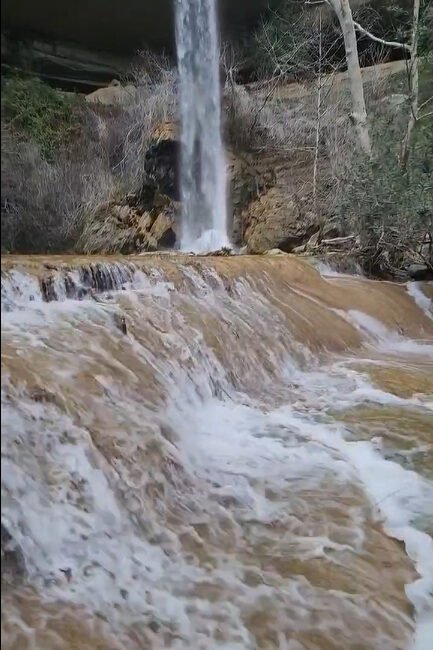 Uğur SELÇUK/İMAMOĞLU (Adana), (DHA)- ADANA'nın Aladağ ilçesinde kuraklık nedeniyle kuruyan