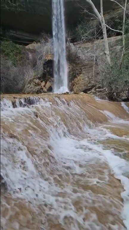Uğur SELÇUK/İMAMOĞLU (Adana), (DHA)- ADANA'nın Aladağ ilçesinde kuraklık nedeniyle kuruyan