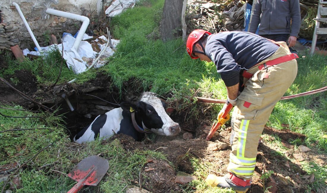Hasan YİĞEN/KULA (Manisa), (DHA)- MANİSA'nın Kula ilçesinde su kuyusuna düşen