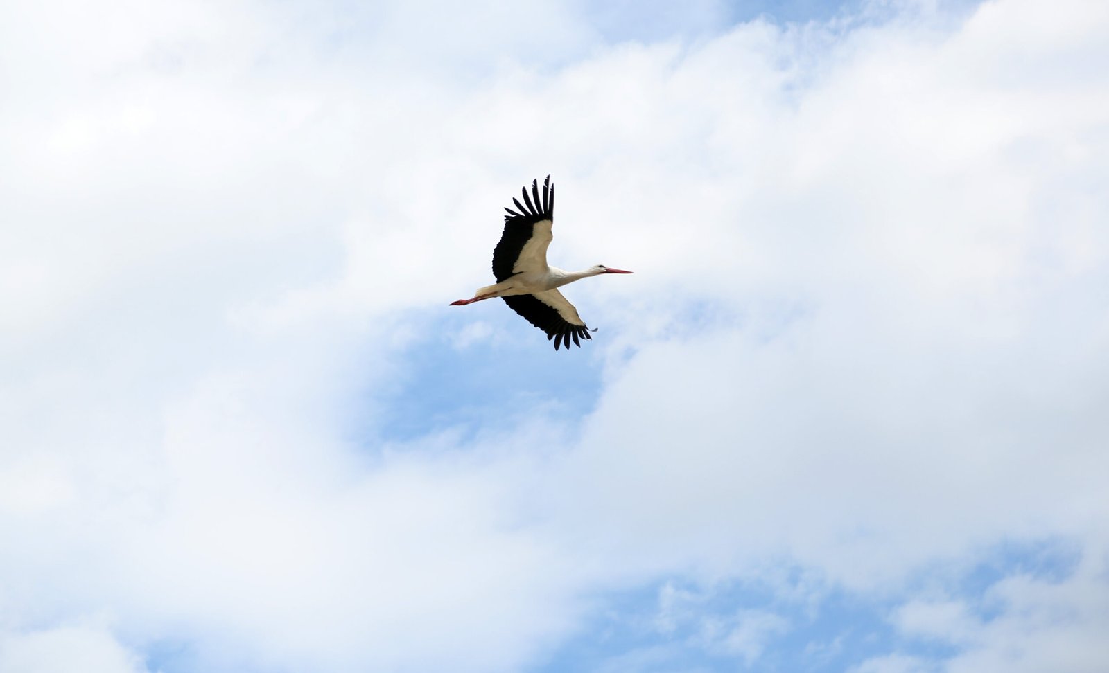 Mehmet ÇINAR/ANTALYA, (DHA)- ANTALYA’nın Serik ilçesine bağlı Dikmen Mahallesi'ndeki caminin