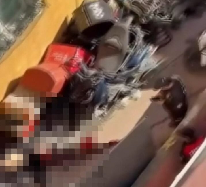 Murat SOLAK-Mert ORDU/İSTANBUL,(DHA)- MALTEPE'de motosiklet kiralama işi yapılan iş yerinde