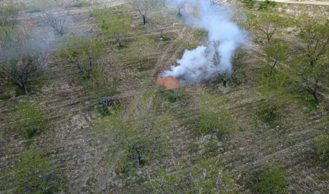 İpek KALAY/ MANİSA, (DHA)- MANİSA'nın Demirci ilçesinde hava sıcaklıklarının sıfırın