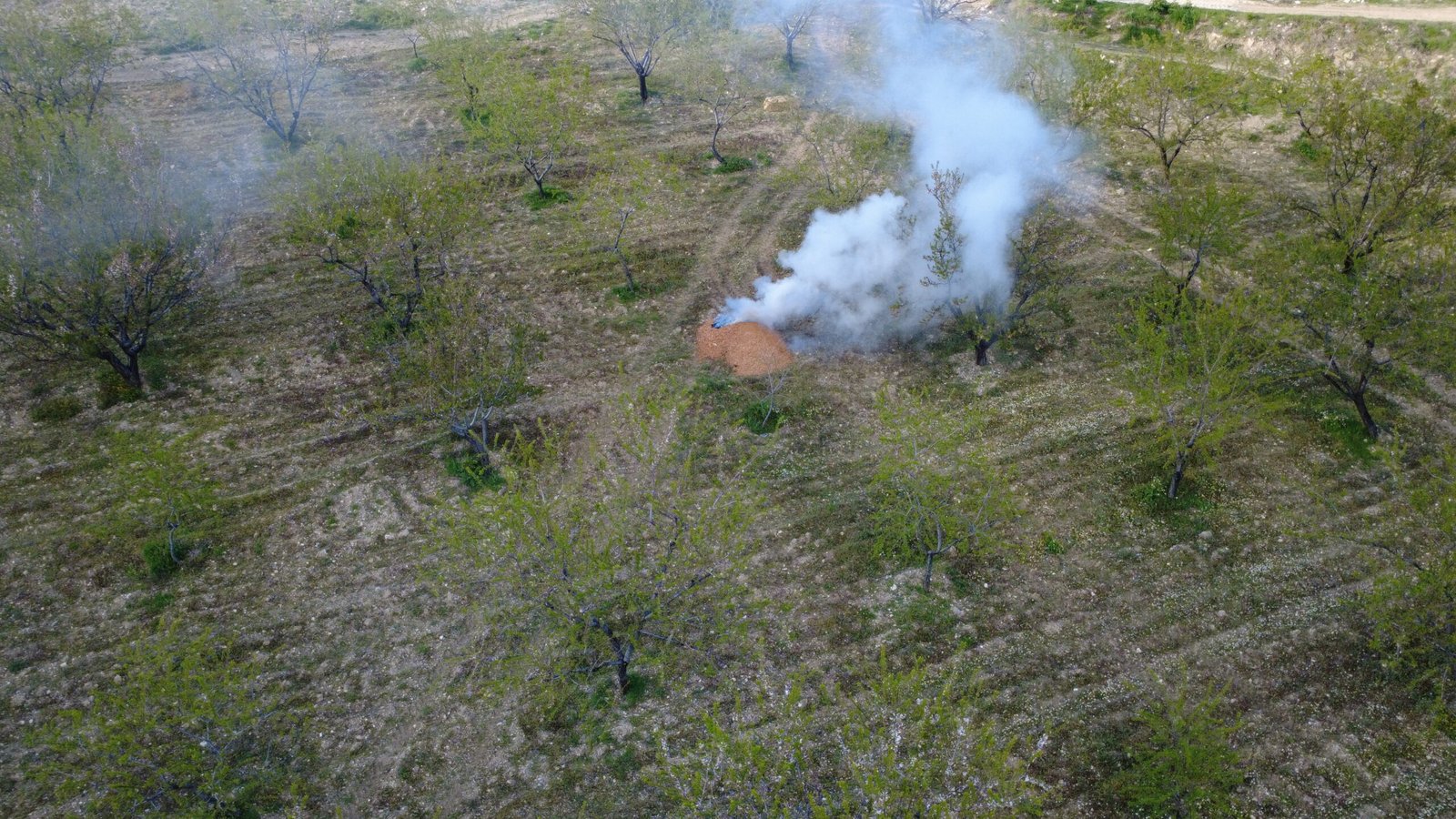 İpek KALAY/ MANİSA, (DHA)- MANİSA'nın Demirci ilçesinde hava sıcaklıklarının sıfırın