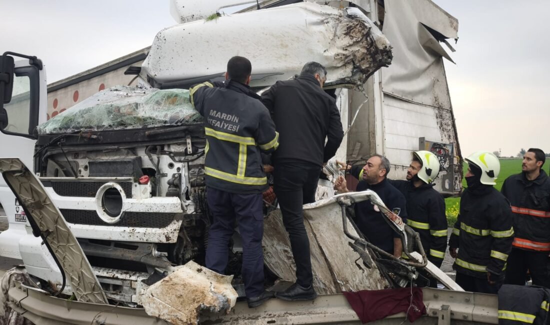 Salih KESKİN/MARDİN, (DHA)- MARDİN'de yol kenarındaki bariyerlere çarpan TIR'ın şoförü,