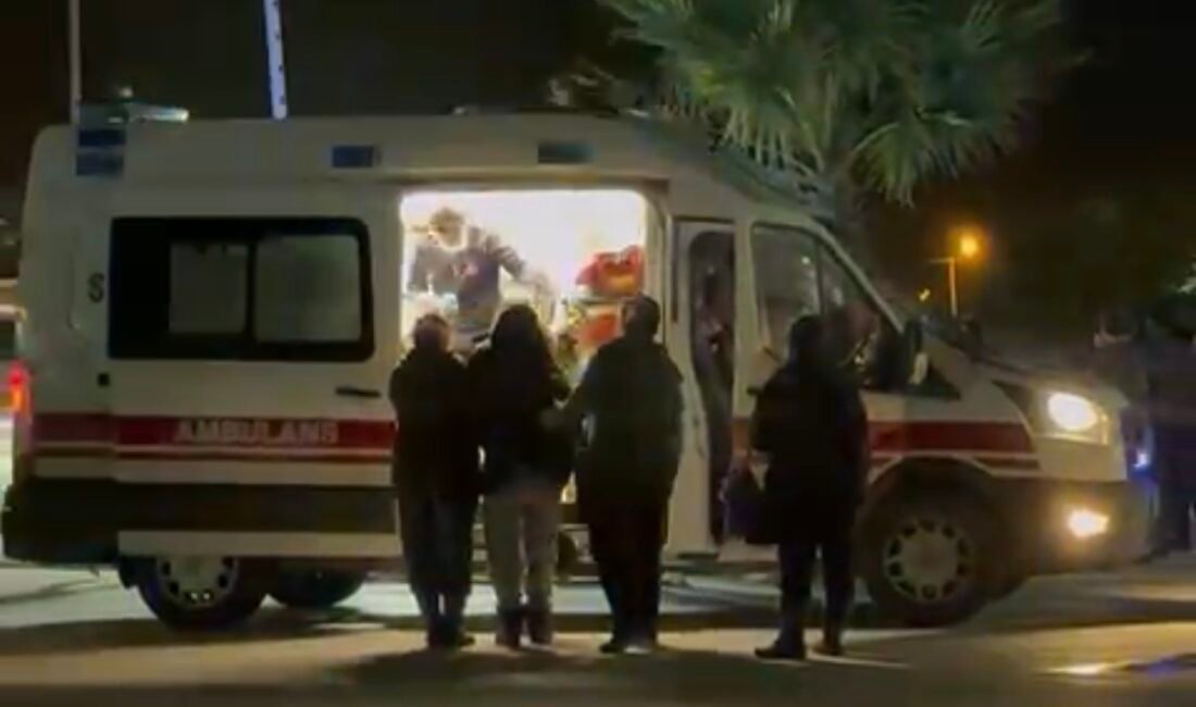 Fırat AKAY- Cavit AKGÜN/ MİLAS(Muğla), (DHA)- MUĞLA’nın Milas ilçesinde bir