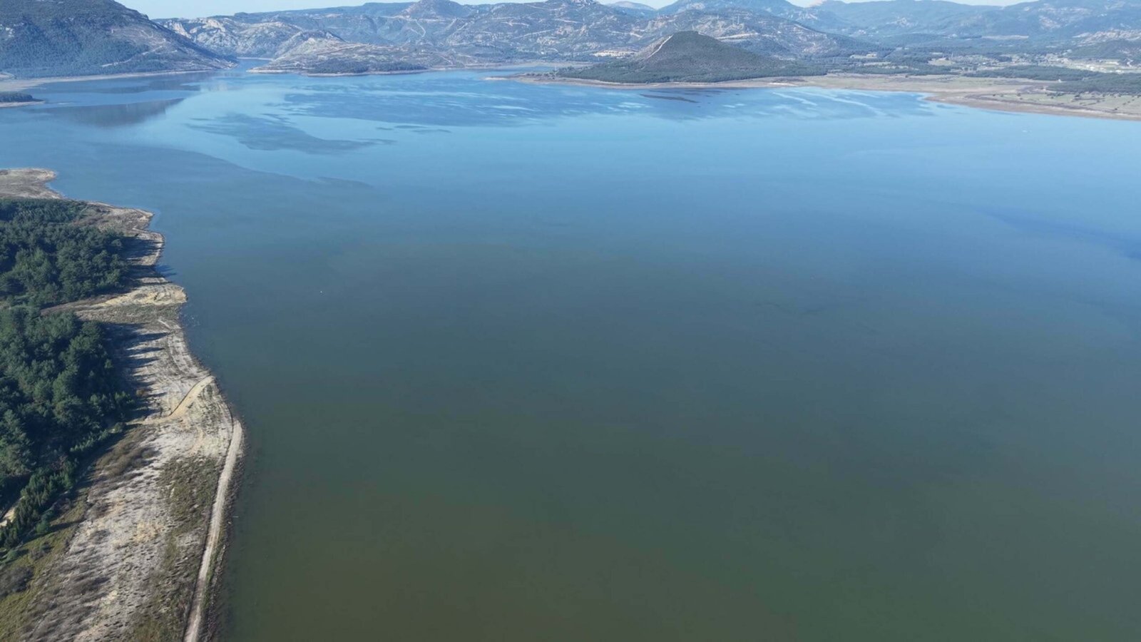 Seza Nur ALPDÜNDAR/İZMİR, (DHA)- TÜRKİYE Bilimler Akademisi (TÜBA) Çevre, Biyoçeşitlilik