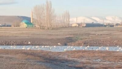 Bedir ALTUNOK/KARS, (DHA)- KARS’ın Akyaka ilçesine bağlı sınır köyü Küçük
