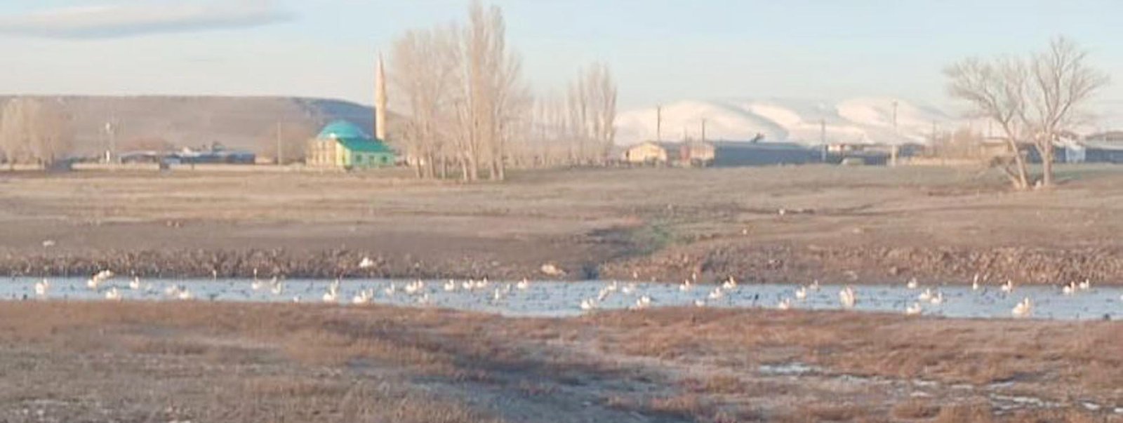 Bedir ALTUNOK/KARS, (DHA)- KARS’ın Akyaka ilçesine bağlı sınır köyü Küçük