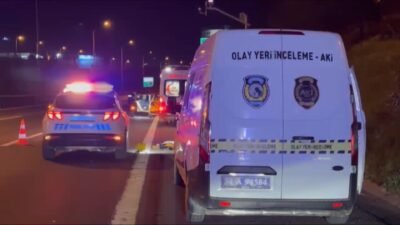 Soner HASIRCIOĞLU/İSTANBUL, (DHA) - SULTANBYELİ, TEM Otoyolu'nda yolun karşısına geçmeye