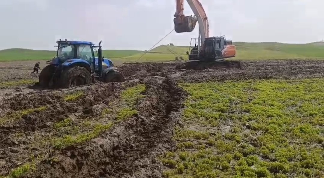 Bayram AYHAN/BATMAN, (DHA)- BATMAN'ın Kozluk ilçesinde mercimek tarlasında gübreleme yaparken