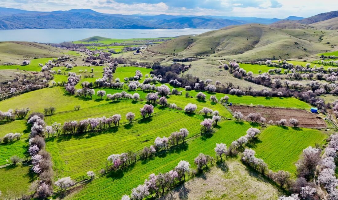 Serhat Ozan YILDIRIM/PERTEK (Tunceli), (DHA)-TUNCELİ'nin Pertek ilçesinde hava sıcaklıklarının artmasıyla
