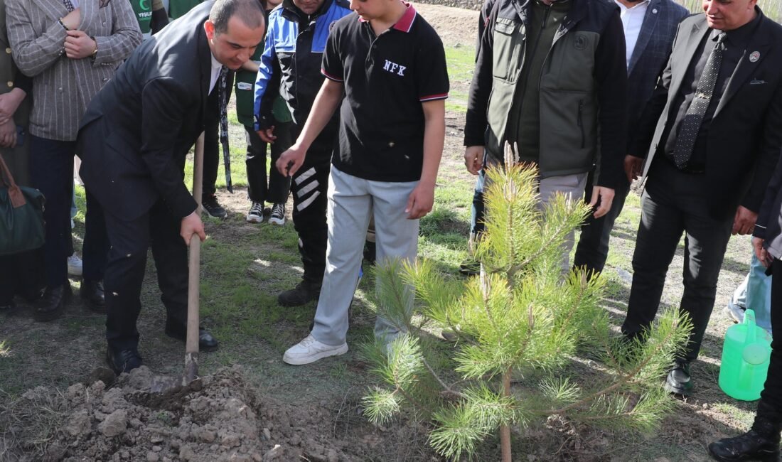 Özkan AYDIN/IĞDIR, (DHA)- IĞDIR Valisi Fırat Taşolar, fidan dikmek istediği